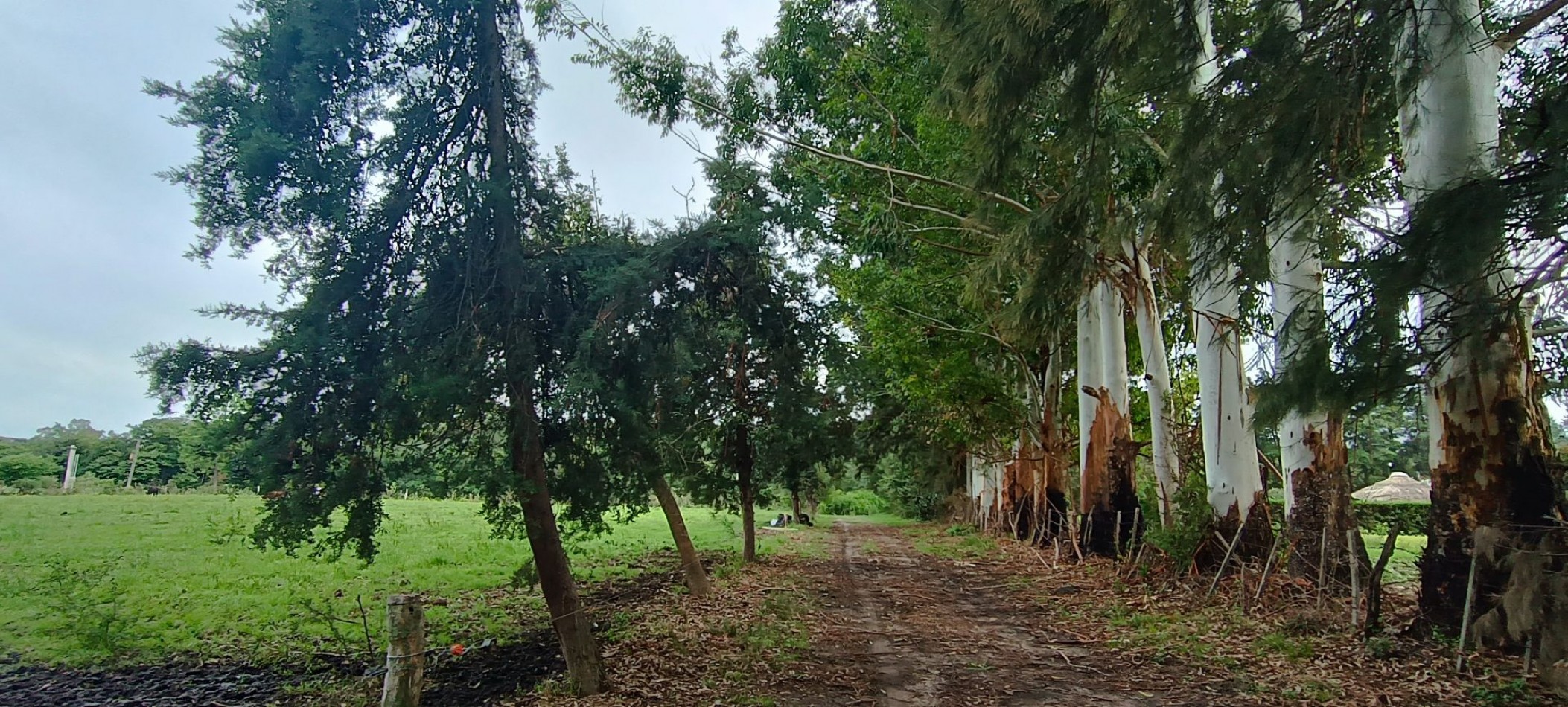 Chacra en venta Calle 165 y 5553