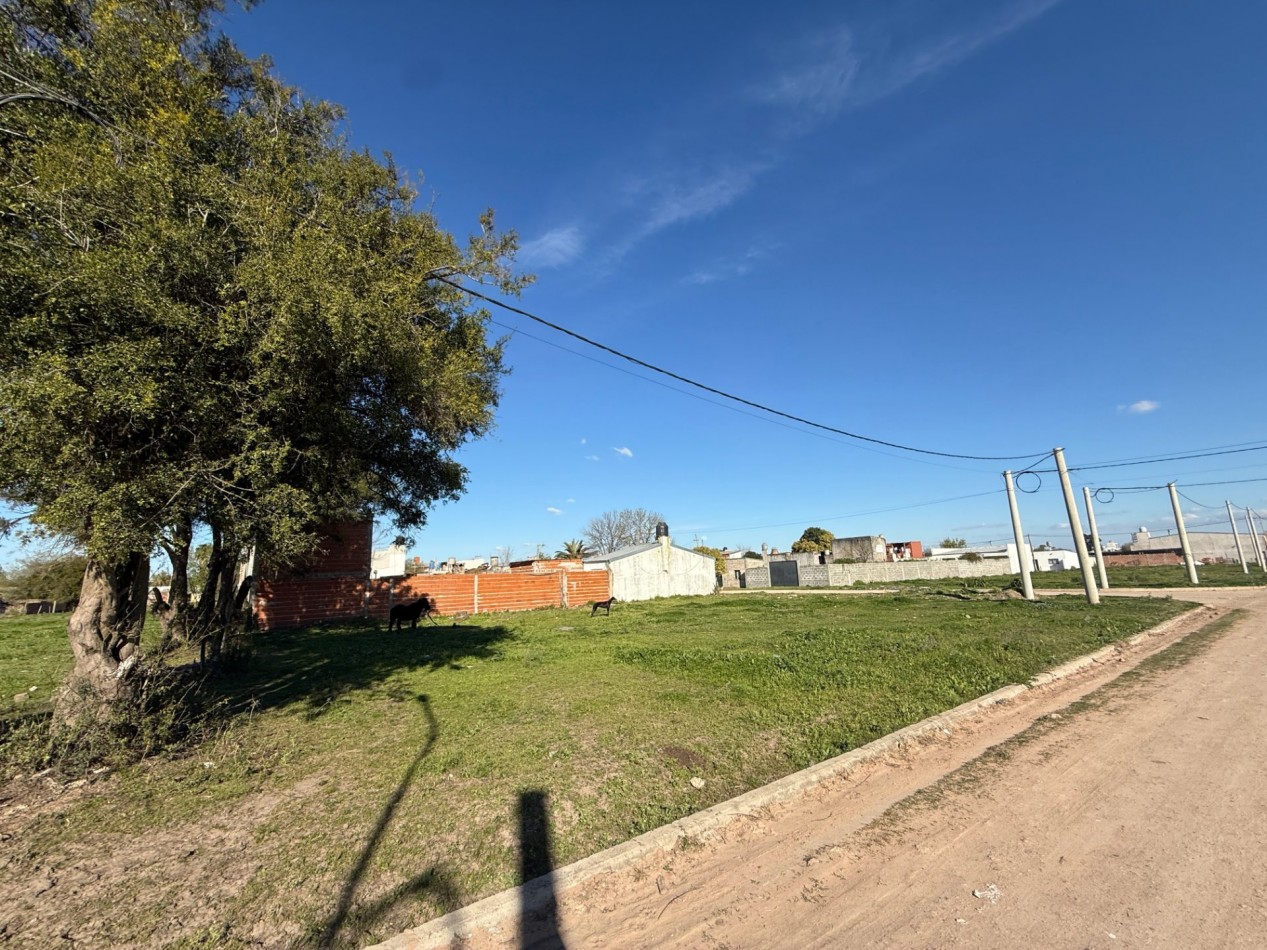 Loteo Jaime de Nevares Zona Norte