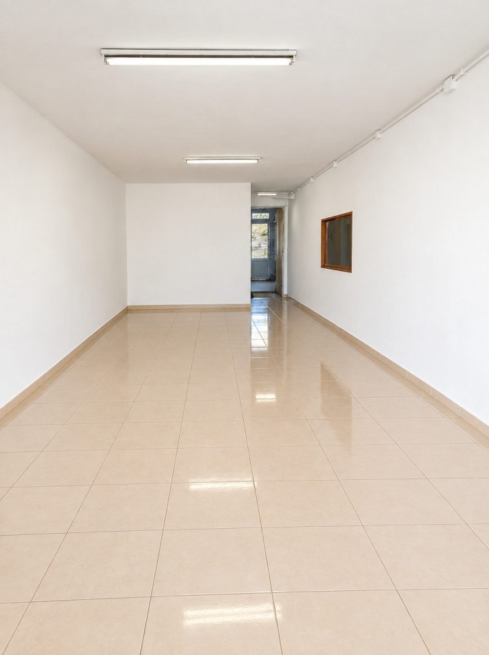 Local en alquiler Magnasco 650