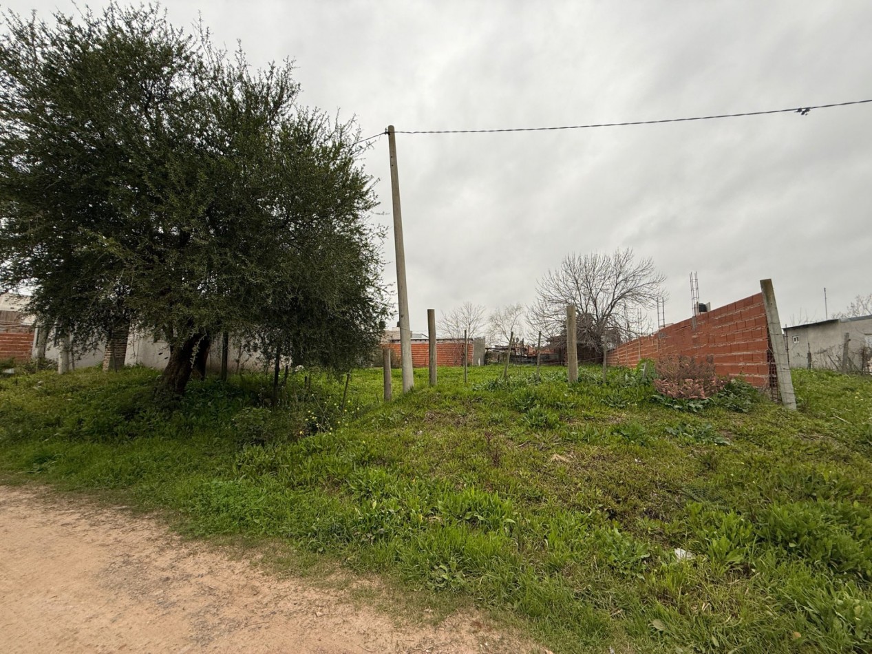 Terreno en venta Federacion entre Cordoba y Alsina