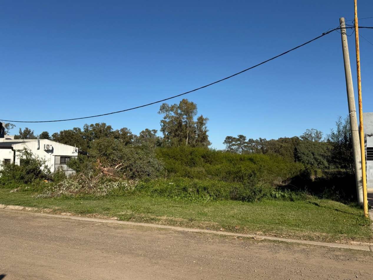 Terreno en venta Courtet 221
