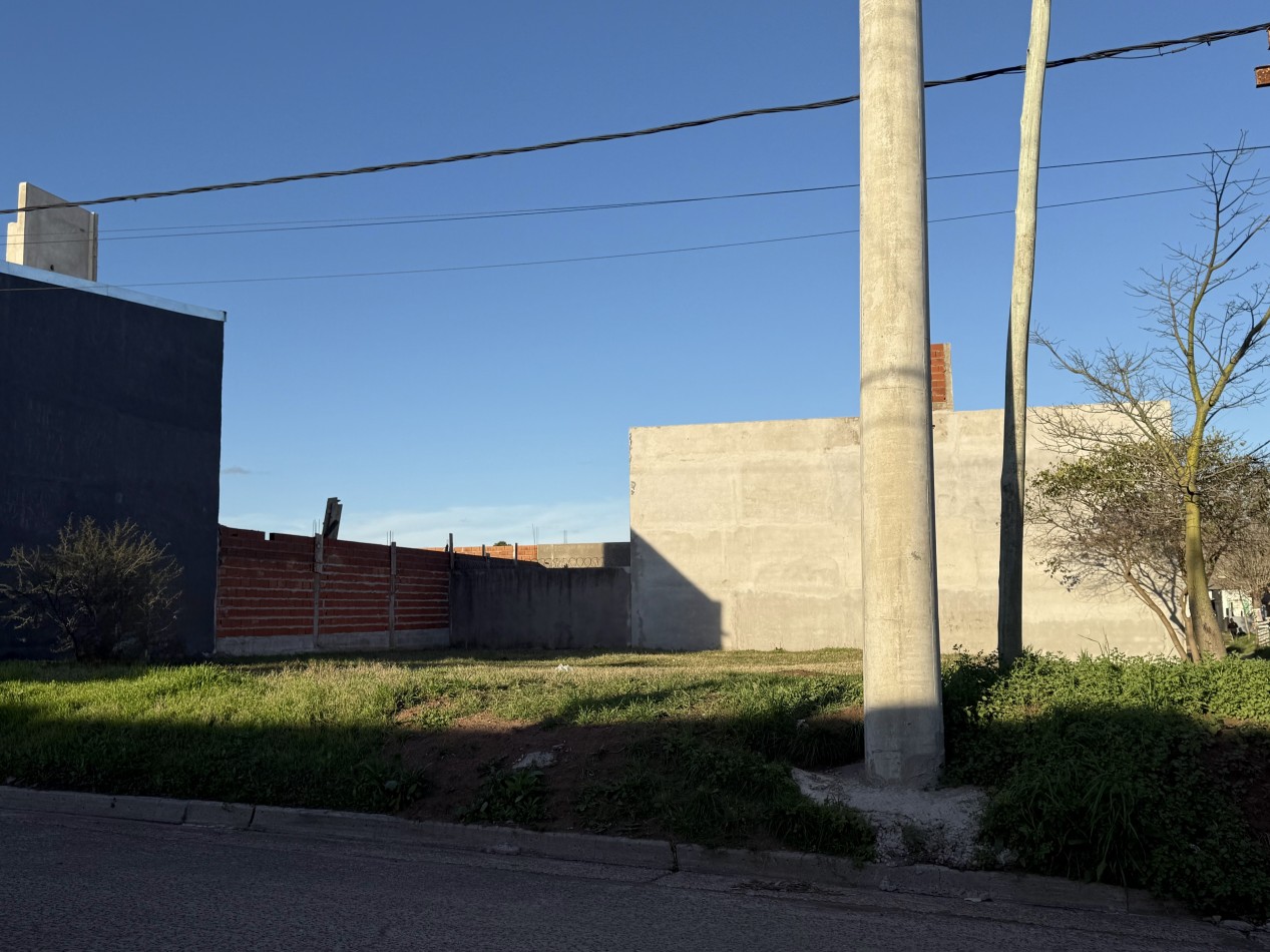 Loteo en venta Roffo y San Juan 