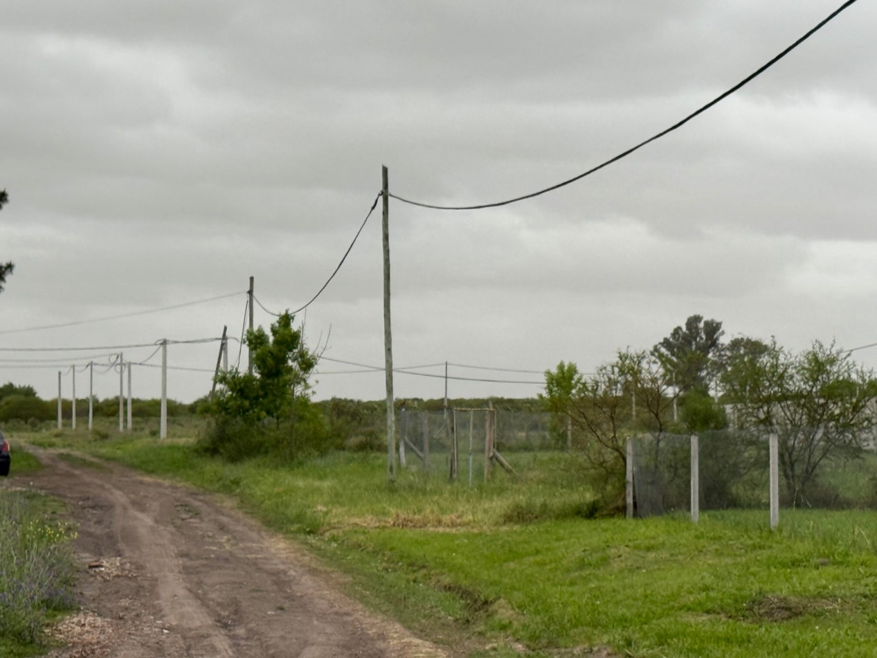 Lotes 4 y 5 en venta Crespo entre Garcia y Auer Pueblo Belgrano