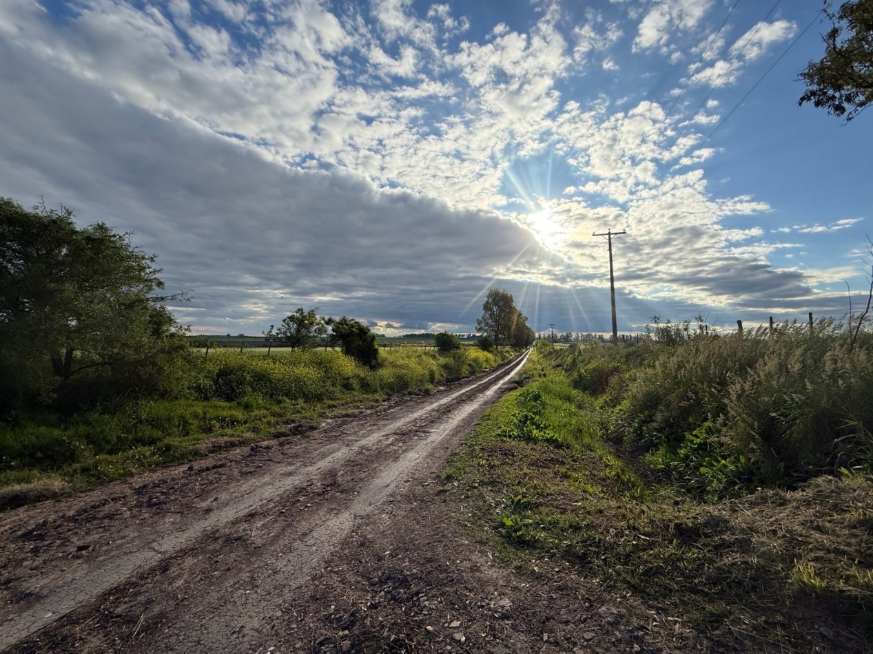 Campo en venta Perdices Ruta 14 Km. 31,5
