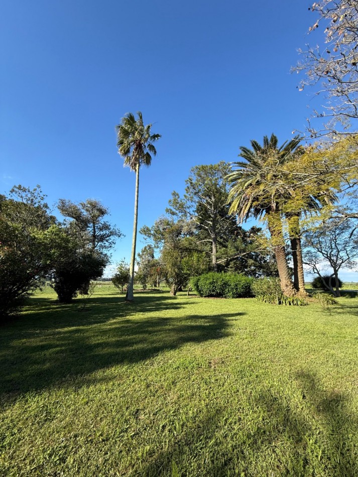 Campo en venta Perdices Ruta 14 Km. 31,5
