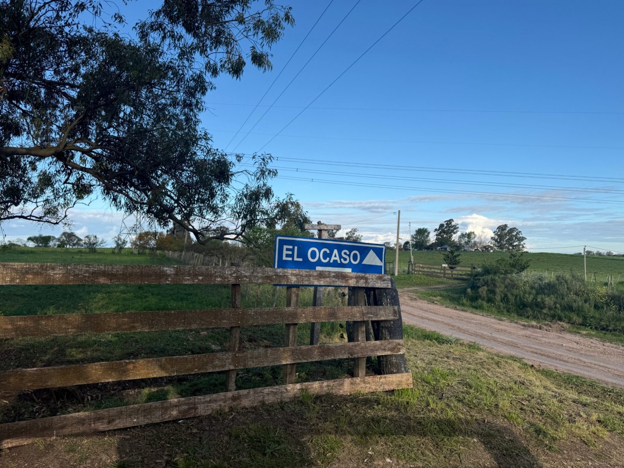 Campo en venta Perdices Ruta 14 Km. 31,5
