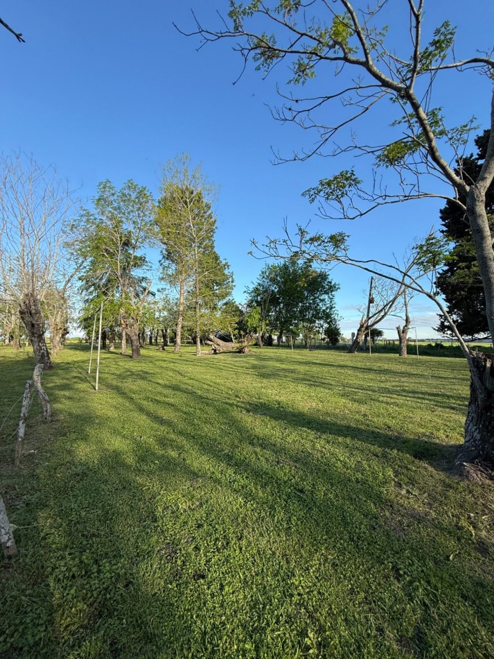 Campo en venta Perdices Ruta 14 Km. 31,5
