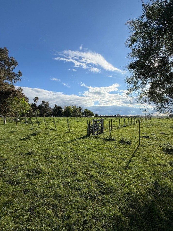Campo en venta Perdices Ruta 14 Km. 31,5