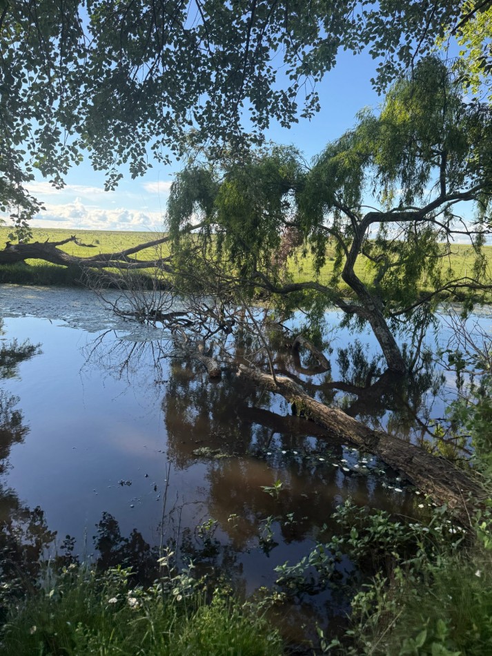 Campo en venta Perdices Ruta 14 Km. 31,5