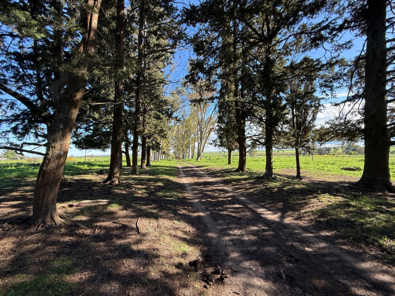 Campo en venta Perdices Ruta 14 Km. 31,5