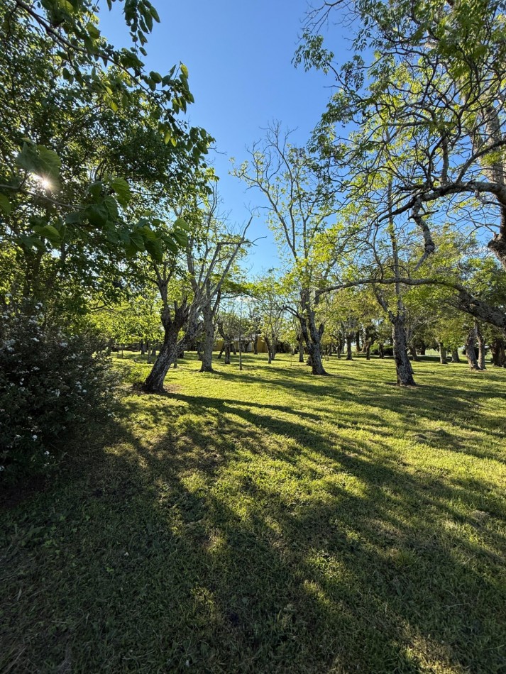 Campo en venta Perdices Ruta 14 Km. 31,5