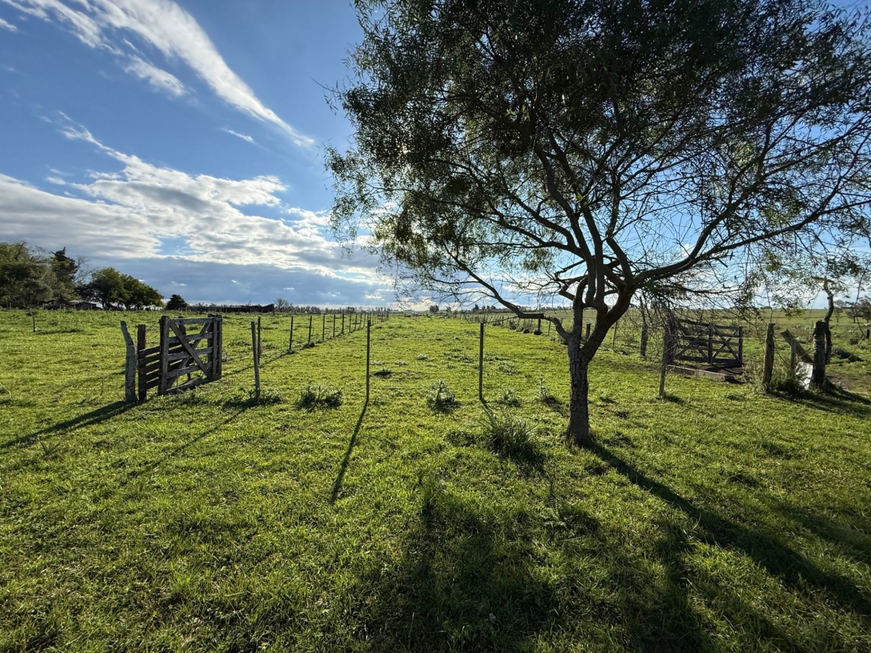 Campo en venta Perdices Ruta 14 Km. 31,5