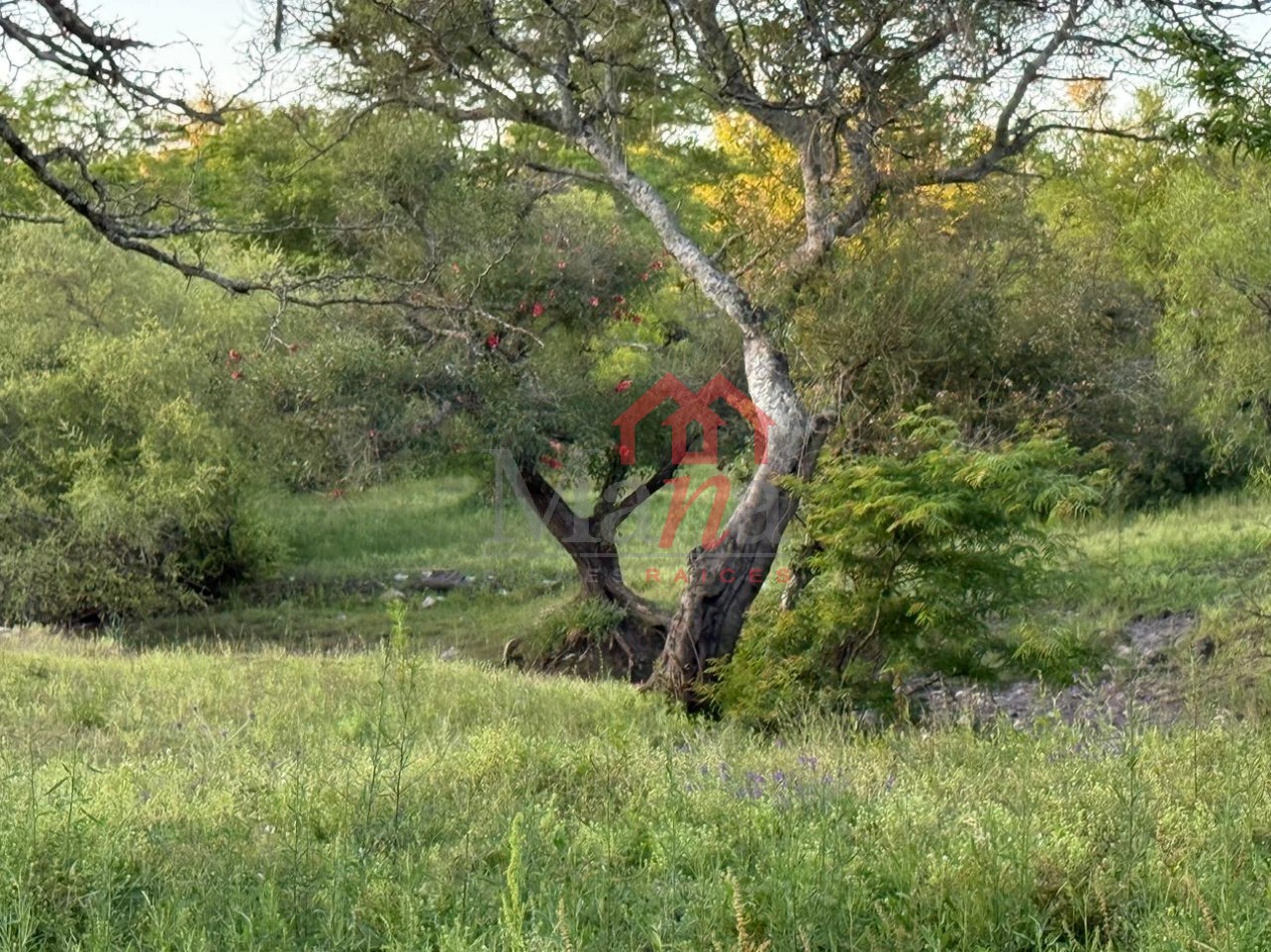 Terreno en venta Camino de la Costa