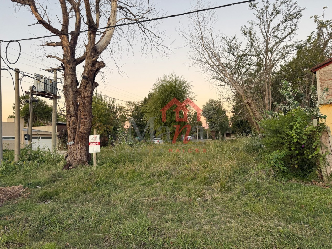 Terreno en venta Diamante y Urdinarrain